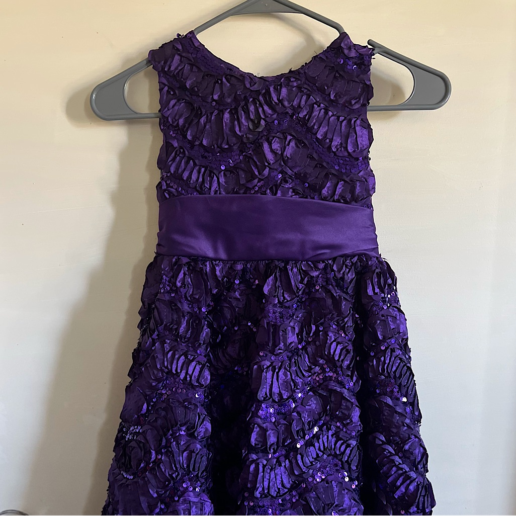 Nwot Rare Editions Girl Dress